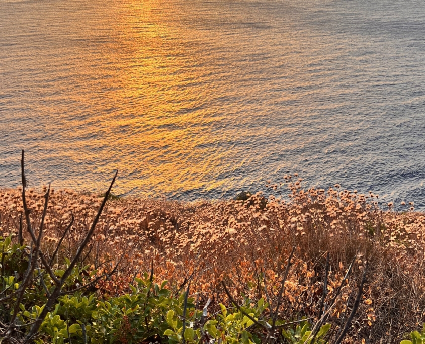 The view of Mezapos Gulf
